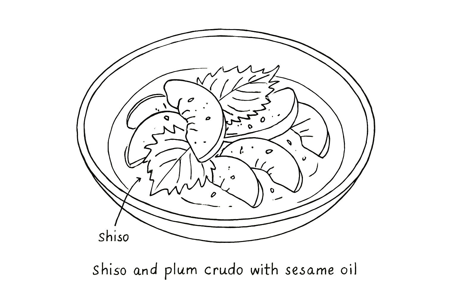 Shiso and Plum Crudo with Sesame Oil